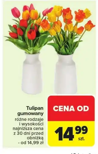 Carrefour Tulipan oferta