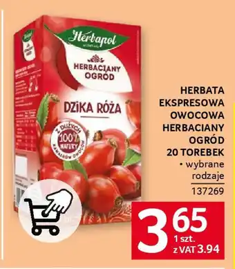 Selgros Herbata ekspresowa owocowa herbaciany ogród oferta