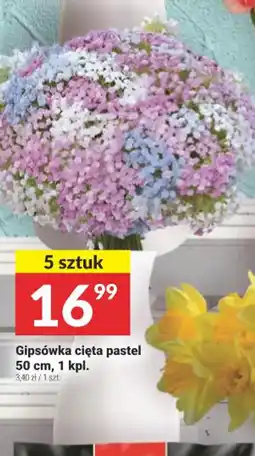 Twój Market Gipsówka cięta pastel oferta