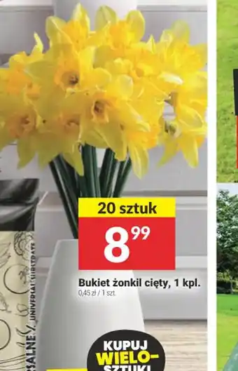 Twój Market Bukiet żonkili cięty oferta