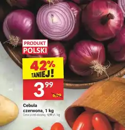 Twój Market Cebula czerwona oferta