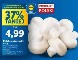 Lidl Polskie pieczarki oferta