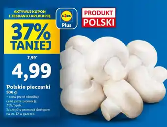 Lidl Polskie pieczarki oferta