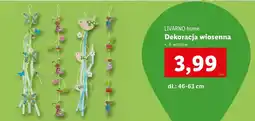 Lidl Dekoracja wiosenna Livarno Home oferta