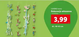 Lidl Dekoracja wiosenna Livarno Home oferta