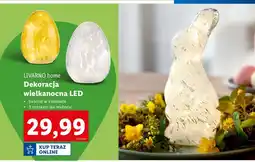 Lidl Zając led Livarno Home oferta