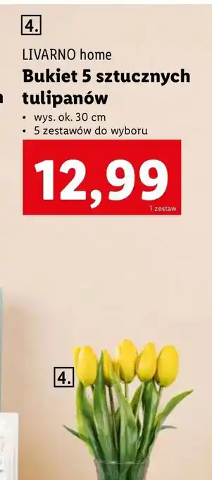 Lidl Tulipany 30 cm Livarno Home oferta