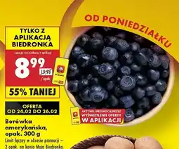 Borówki amerykańskie