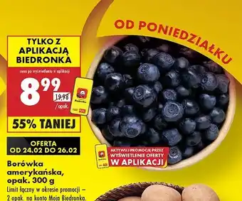 Biedronka Borówki amerykańskie oferta