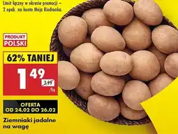 Biedronka Ziemniaki polskie oferta