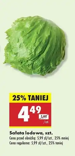 Biedronka Sałata lodowa oferta