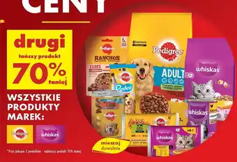 Biedronka Karma dla kota kurczak Whiskas oferta