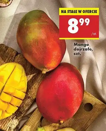 Biedronka Mango oferta