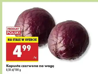 Biedronka Kapusta czerwona polska oferta