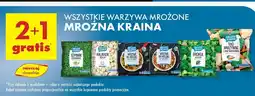 Biedronka Trio warzywne Mroźna Kraina oferta