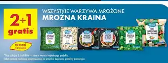 Biedronka Trio warzywne Mroźna Kraina oferta