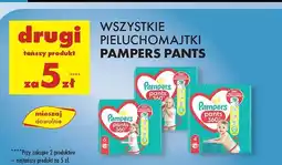 Biedronka Pieluszki dla dzieci 4 Pampers Pants oferta