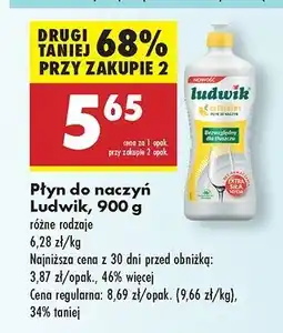 Biedronka Płyn do naczyń cytrynowy Ludwik oferta