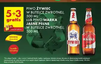 Biedronka Piwo Żywiec Jasne Pełne oferta