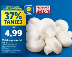 Lidl Pieczarki polska oferta