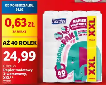 Lidl Papier toaletowy Floralys oferta