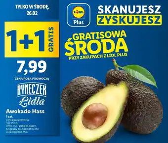 Lidl Awokado hass oferta