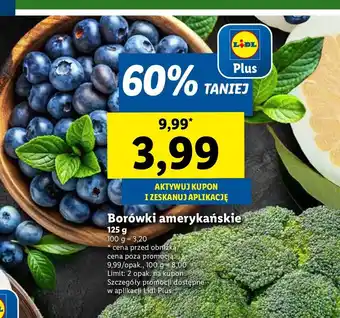 Lidl Borówka amerykańska oferta