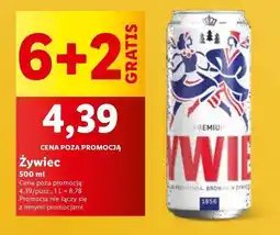 Lidl Piwo Żywiec Jasne Pełne oferta