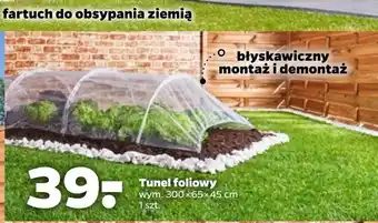 Netto Tunel foliowy oferta