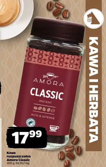 Netto Kawa Amora Classic oferta