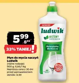 Netto Płyn do mycia naczyń Ludwik oferta