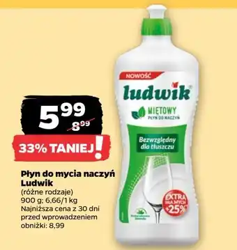 Netto Płyn do mycia naczyń Ludwik oferta