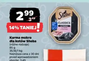 Netto Karma dla kota z łososiem Sheba Classics oferta