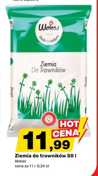 Bricomarche Ziemia Wokas oferta