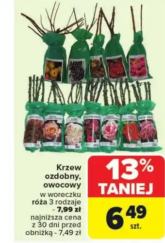 Carrefour Market Krzew ozdobny O oferta