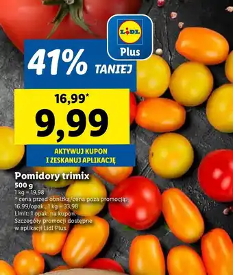 Lidl Pomidory Limit oferta