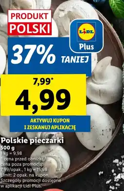 Lidl Pieczarki Plus-Plus oferta