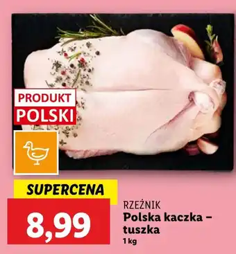 Lidl Kaczka Rzeźnik oferta