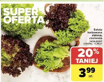 Carrefour Sałata karbowana czerwona oferta