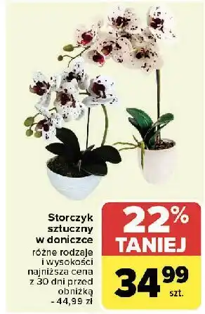 Carrefour Storczyk sztuczny oferta