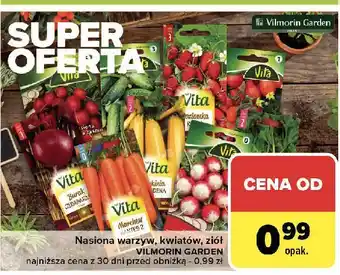 Carrefour Rzodkiewka Vita Line oferta