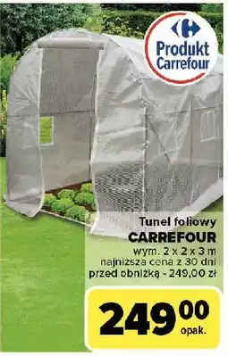 Carrefour Tunel foliowy 300 x 200 cm Carrefour oferta