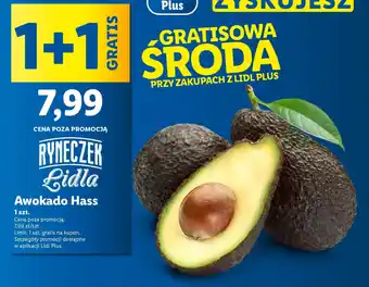 Lidl Awokado Hass oferta