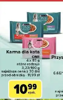 Carrefour Karma dla kota junior z kurczakiem i marchewką Purina One oferta