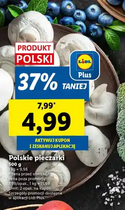 Lidl Polskie pieczarki oferta