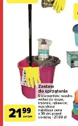 Carrefour Zestaw do profesjonalnego sprzątania Rozenbal oferta