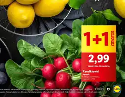 Lidl Rzodkiewki oferta