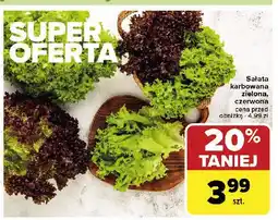 Carrefour Market Sałata karbowana czerwona oferta