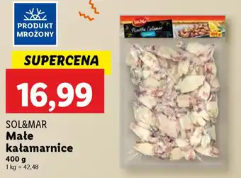 Lidl Sol&mar małe kałamarnice oferta