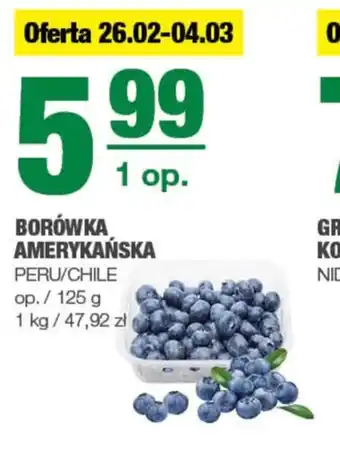 EuroSPAR Borówka amerykańska oferta